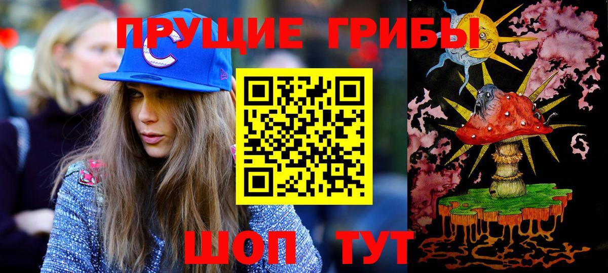 Сланцы  Псилоцибиновые грибы мухоморы  Псилоцибиновые грибы Psilocybine cubensis  Вход с VPN 